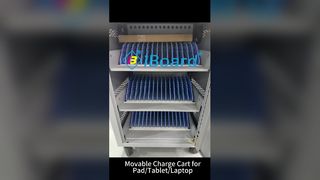 keranjang muatan yang dapat dipindahkan
