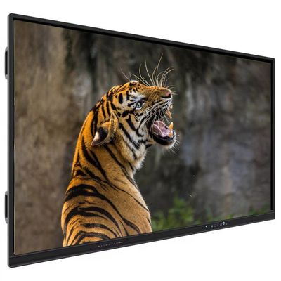 Harga pabrik IBoard 65 Inch Interactive Flat Panel dengan Infrared Touch Screen dan 3G Ram