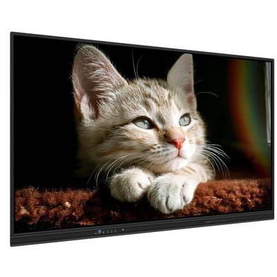 Papan Tulis Interaktif 65 Inci Papan Cerdas dengan Android/Windows/Linux/Mac/Chrome OS dan Proyeksi Nirkabel