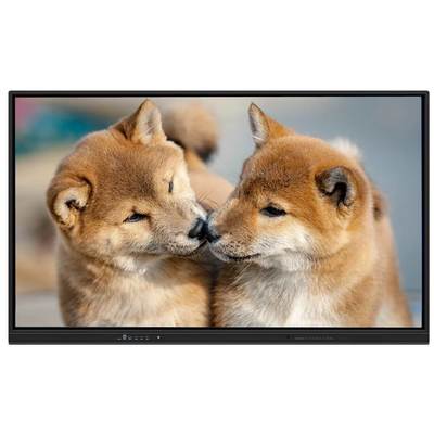 75 Inch Interactive Flat Panel Smart Board dengan Android 15 dan WiFi 6 untuk Sekolah dan Kantor