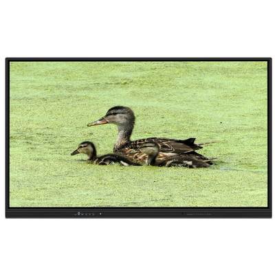 65 Inch All In One Interactive Whiteboard dengan penyimpanan 8+128G dan Infrared Touch untuk pengajaran dan pertemuan