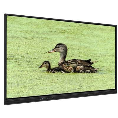 65 Inch All In One Interactive Whiteboard dengan penyimpanan 8+128G dan Infrared Touch untuk pengajaran dan pertemuan