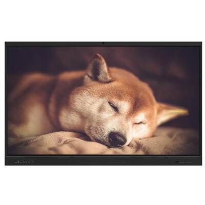 65 Inch Interactive Flat Panel dengan Android 14 dan 8+128G RAM untuk pertemuan sekolah dan kantor