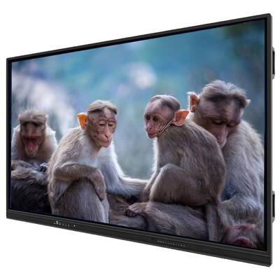 LCD Interaktif Flat Panel dengan 16:9 Aspect Ratio Dual OS Support dan HDMI Input untuk Pengajaran yang Ditingkatkan
