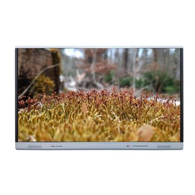 Layar Sentuh Interaktif Whiteboard 65 Inch Touch Monitor