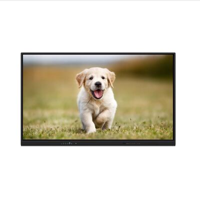 Interaktif Whiteboard Flat Panel 86 Inch Multi Touch Screen untuk Pertemuan Kelas